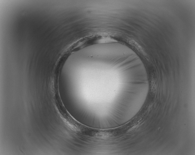 X0000069800444200606021443