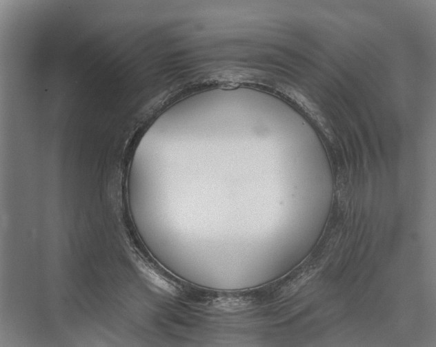 X0000069800445200606021443