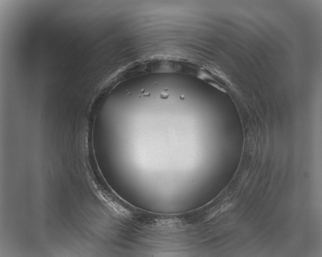 X0000069800446200606021443