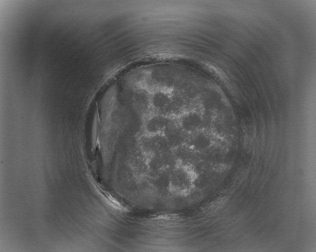 X0000069800447200606021443