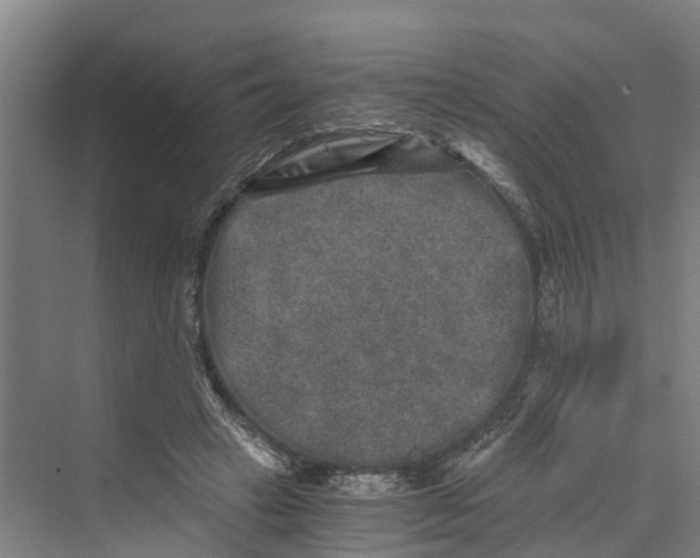 X0000069800449200606021443