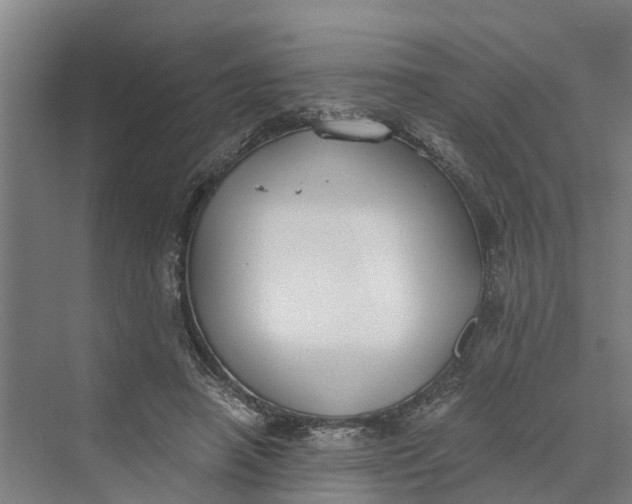 X0000069800450200606021443