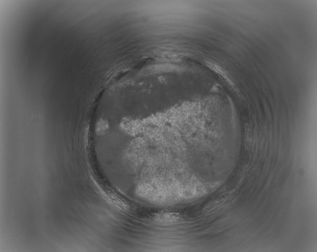 X0000069800451200606021443