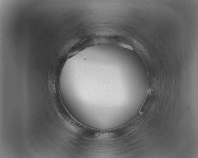 X0000069800452200606021443