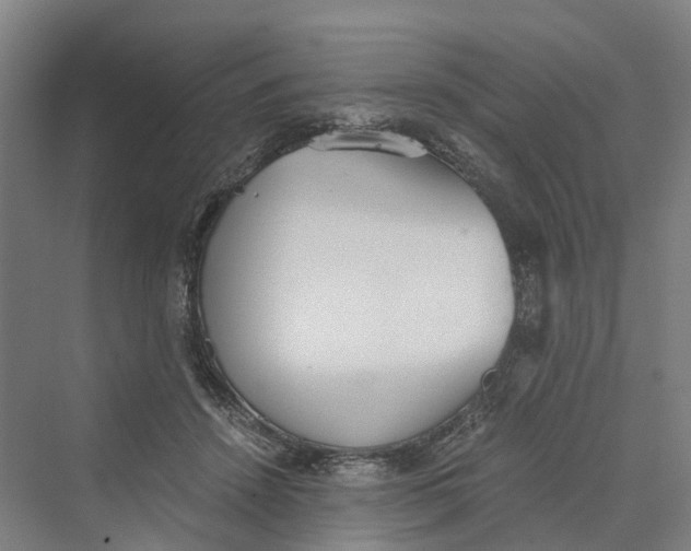 X0000069800456200606021443