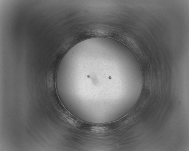 X0000069800457200606021443