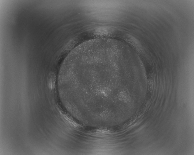 X0000069800458200606021444