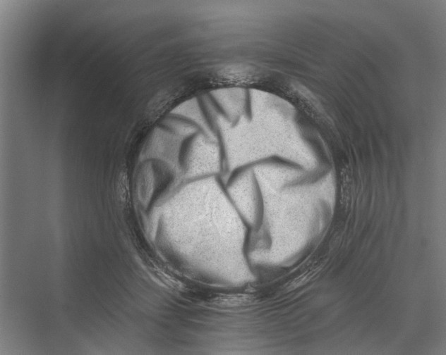 X0000069800459200606021444