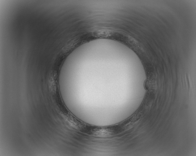 X0000069800460200606021444