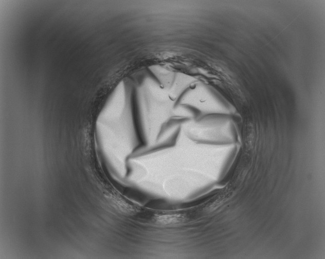 X0000069800461200606021444