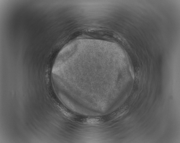 X0000069800462200606021444