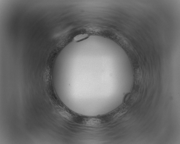 X0000069800463200606021444