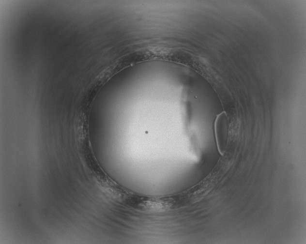 X0000069800464200606021444