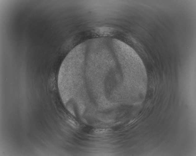 X0000069800465200606021444