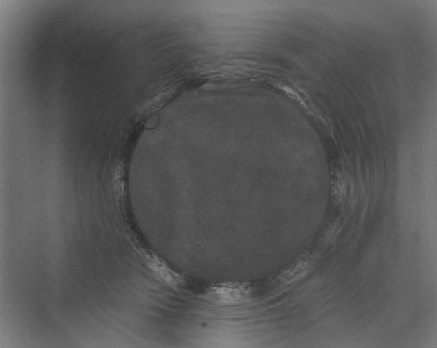 X0000069800466200606021444