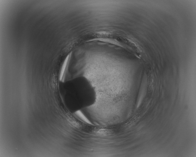 X0000069800467200606021444