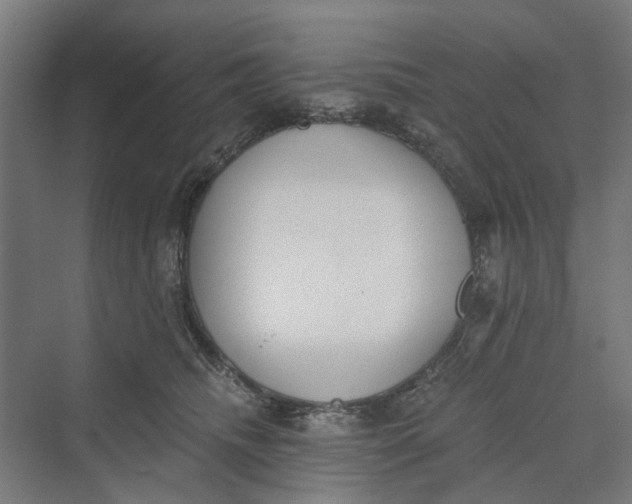 X0000069800468200606021444