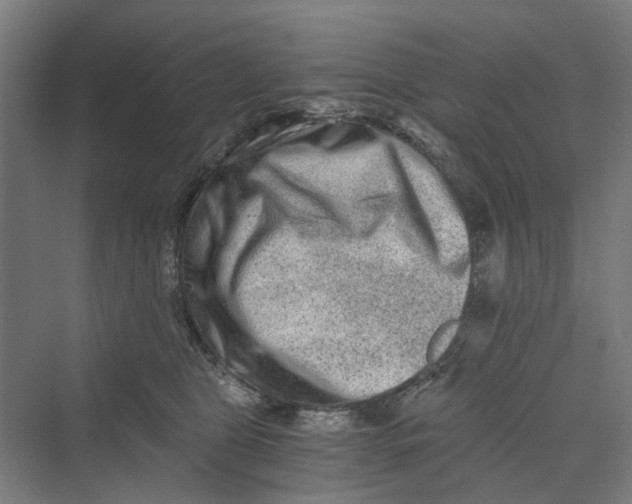 X0000069800469200606021444