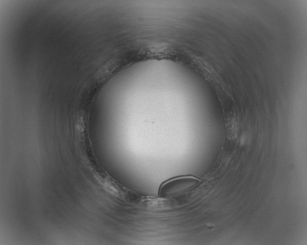 X0000069800472200606021444