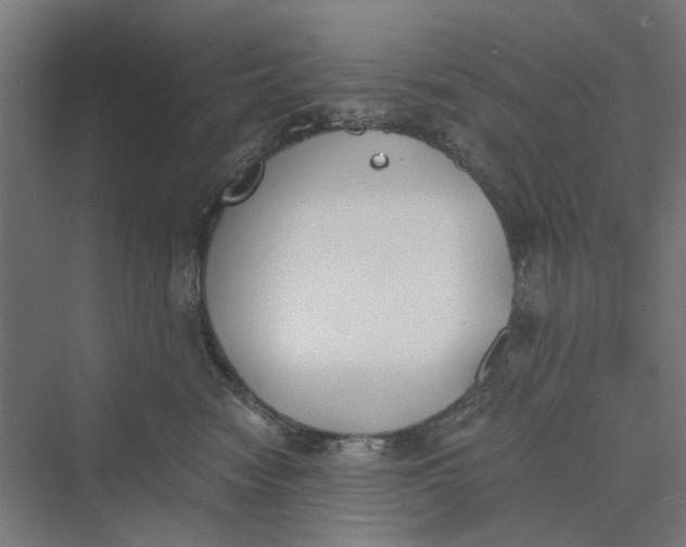 X0000069800474200606021444