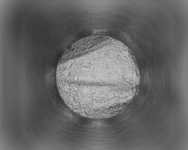 X0000069800475200606021444