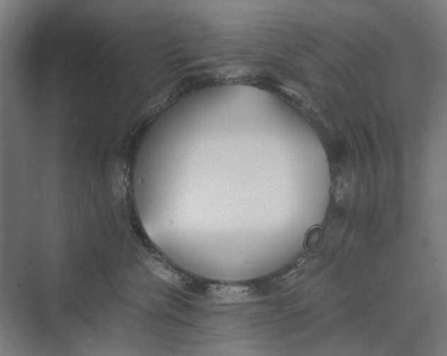 X0000069800476200606021444