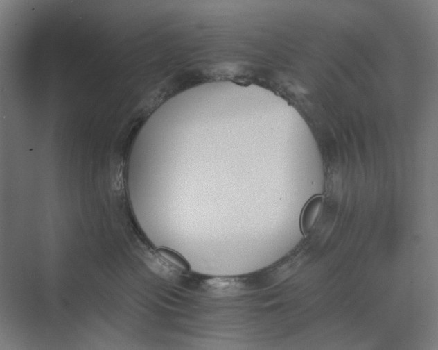 X0000069800477200606021444