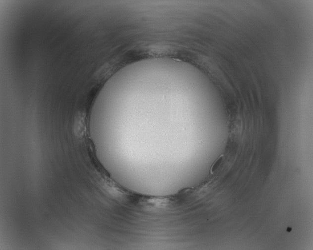 X0000069800478200606021444