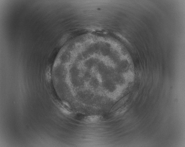 X0000069800479200606021444