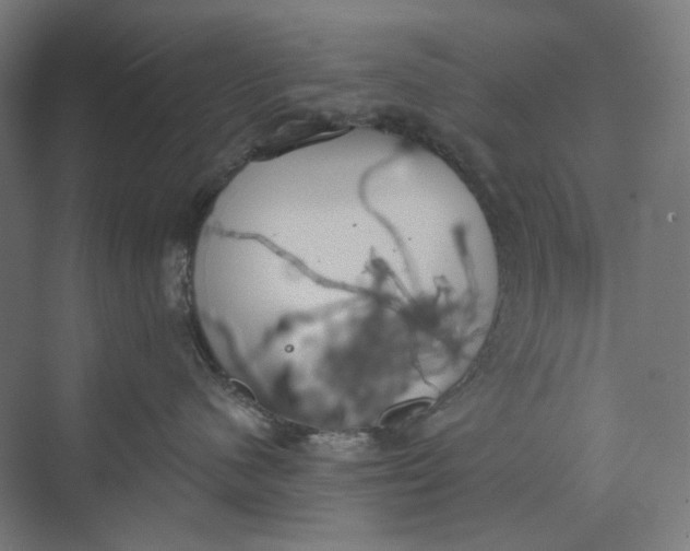 X0000069800480200606021444