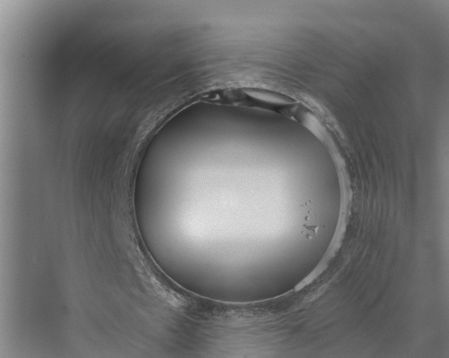 X0000069800481200606021443