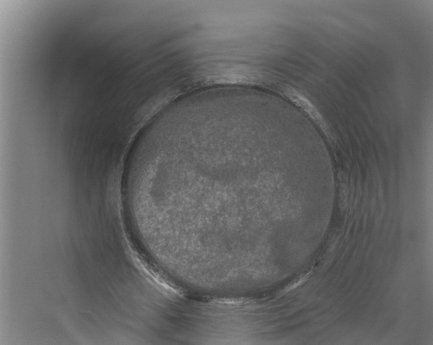 X0000069800482200606021443