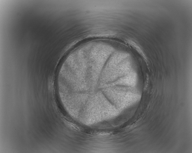 X0000069800483200606021443