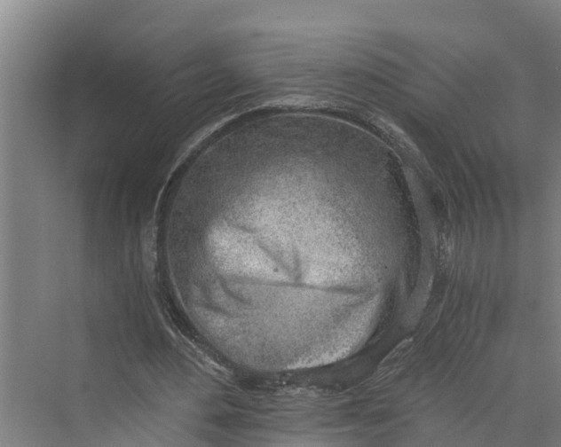 X0000069800484200606021443