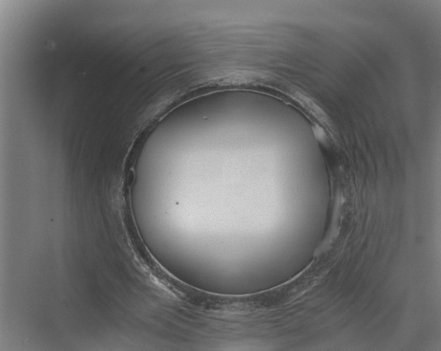 X0000069800485200606021443