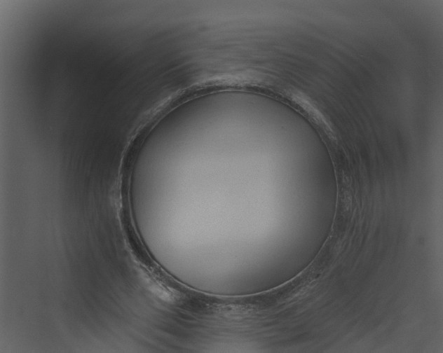 X0000069800486200606021443