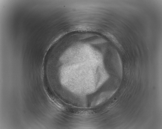 X0000069800488200606021443