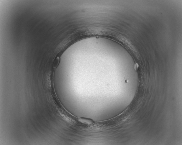 X0000069800489200606021443