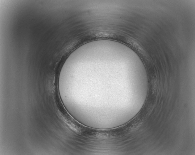 X0000069800490200606021443