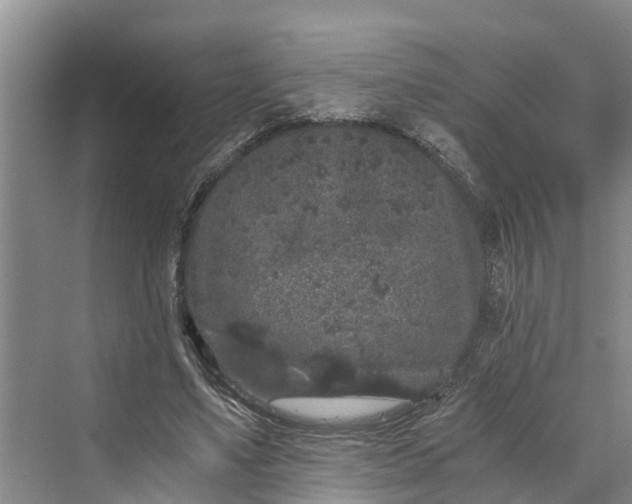 X0000069800491200606021443