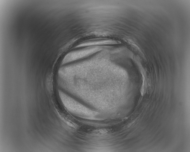 X0000069800492200606021443