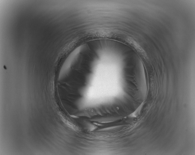 X0000069800493200606021443