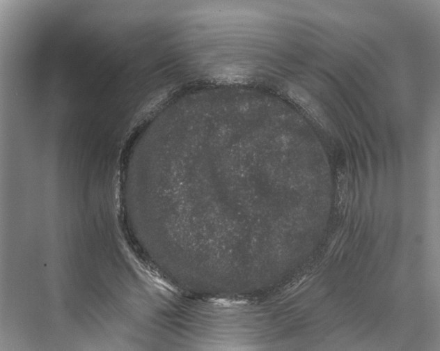 X0000069800494200606021443