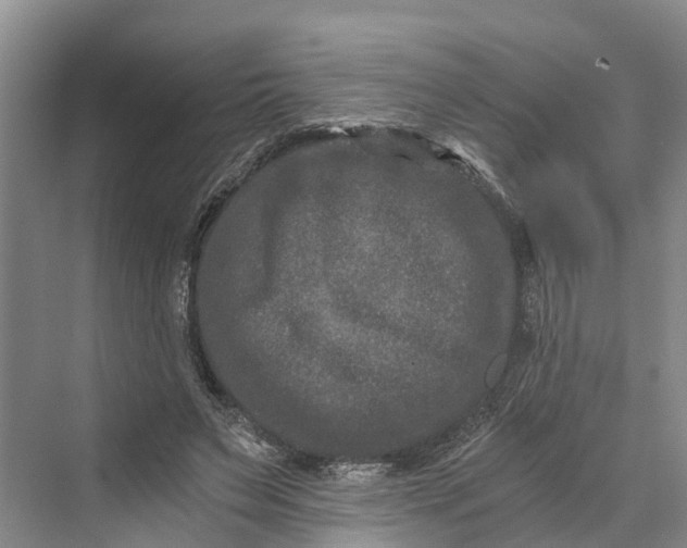 X0000069800495200606021443