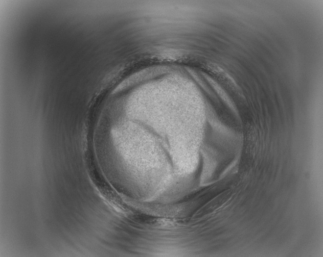 X0000069800496200606021443