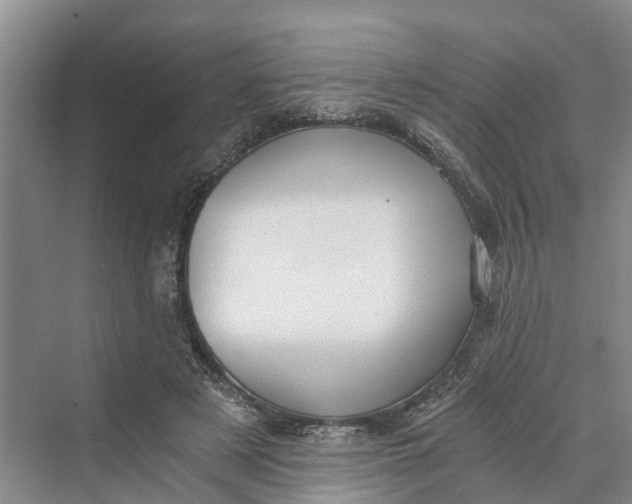 X0000069800497200606021443