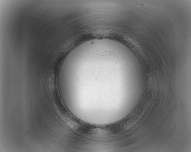 X0000069800498200606021443