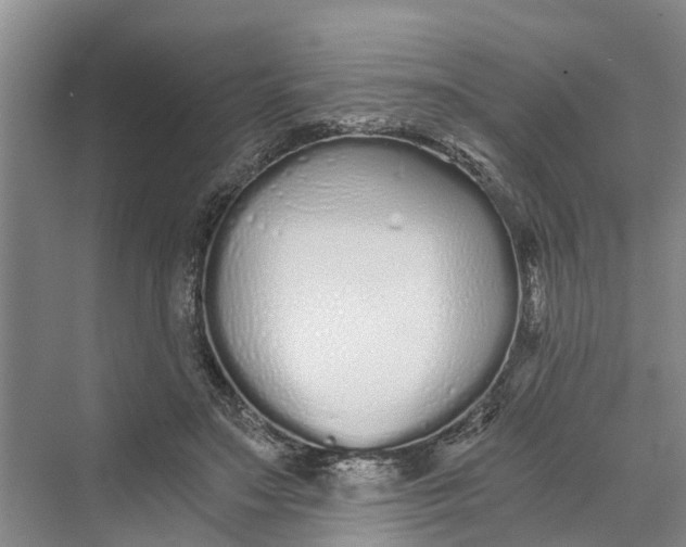 X0000069800499200606021443