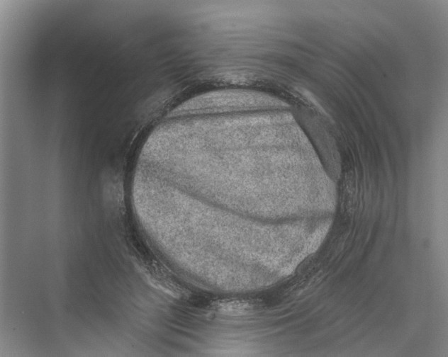 X0000069800500200606021443