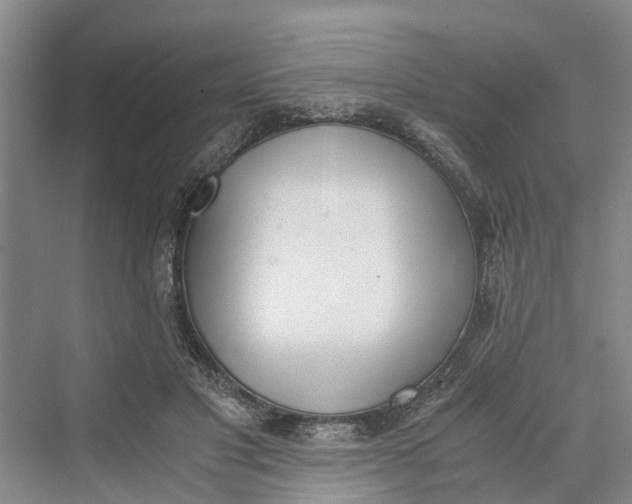 X0000069800501200606021443